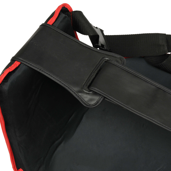 DBX Guardian Pro torso + thigh protector set