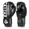 Boxing Gloves 10oz - Harmony - Valor Series