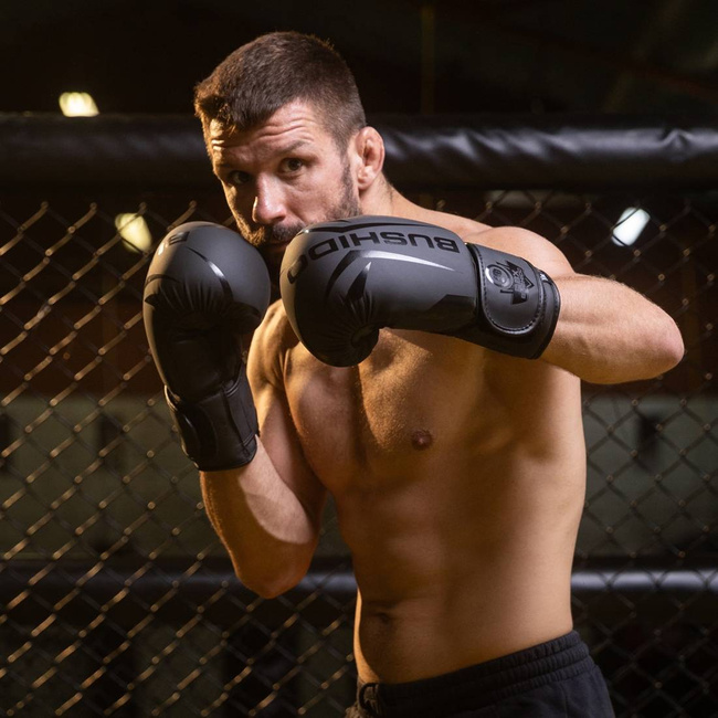 Boxing Gloves 10oz - Raptor - Origin Series