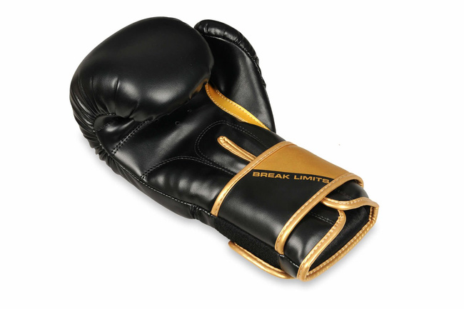Boxing Gloves 10oz - Infinity - Origin Series