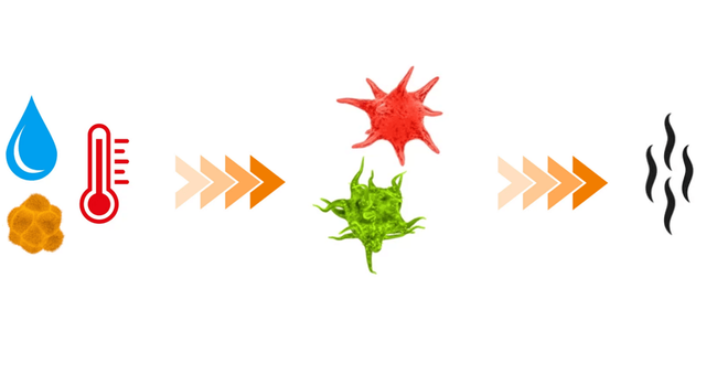 Środek czyszczący - odświeżacz do sprzętu sportowego | DBX Cleaner (200ml)