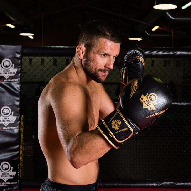 Boxing Gloves 12oz - Aureos - Valor Series