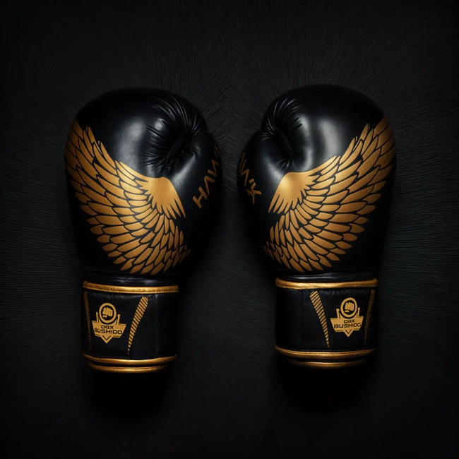 Rękawice bokserskie 10oz - Hawk - Origin Series | DBX Bushido