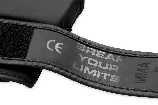 E1v3 MMA gloves DBX BUSHIDO M