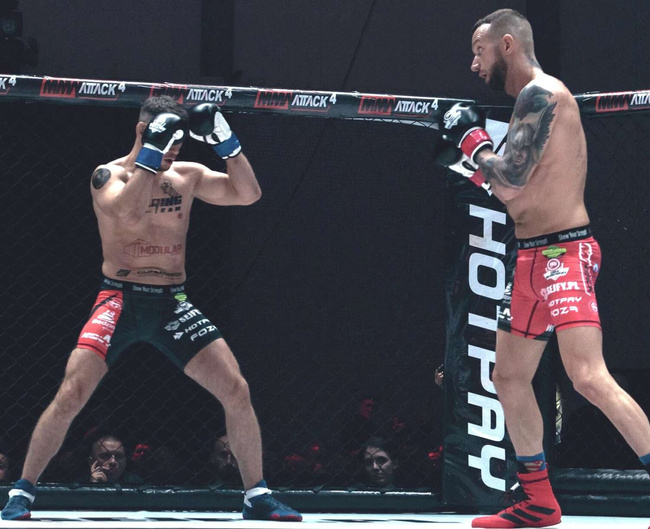 Rękawice bokserskie 14oz - Classic White - Origin Series | DBX Bushido