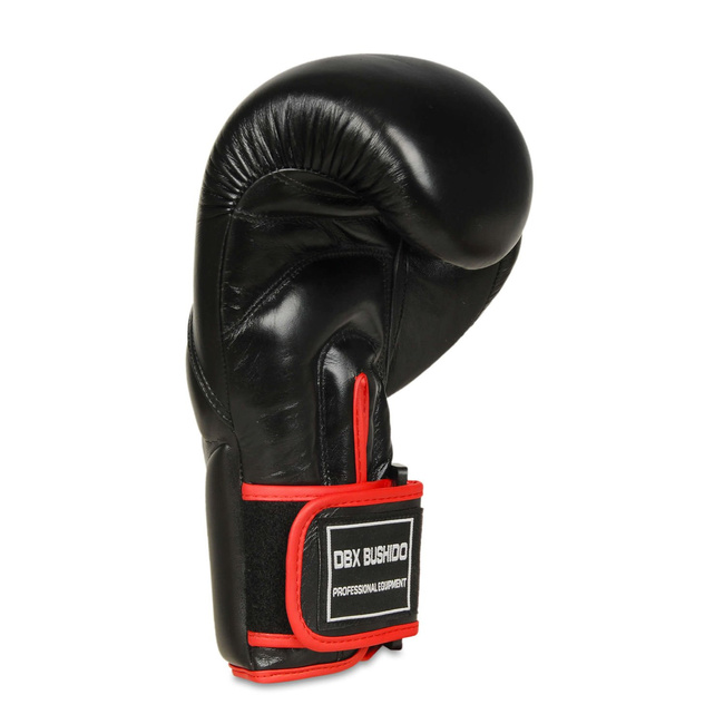Boxing Gloves with Wrist Protect System BB2-10oz