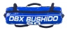 POWER BAG DBX BUSHIDO - CROSS TRAINING DEVICE - 10 KG