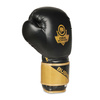 Boxing Gloves 12oz - Infinity - Origin Series