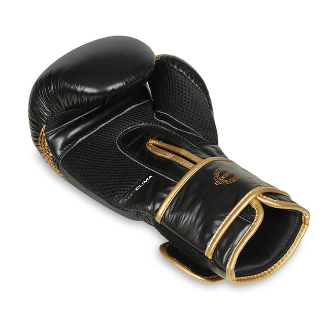 Boxing Gloves 10oz - Aureos - Valor Series