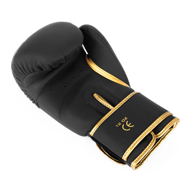 Boxing Gloves 10oz - Gold Dragon - Valor Series