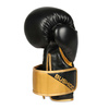 Boxing Gloves 10oz - Infinity - Origin Series