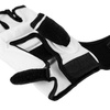 Teakwando gloves WTF - Kyokushin Karate - DBX-T-1 XL