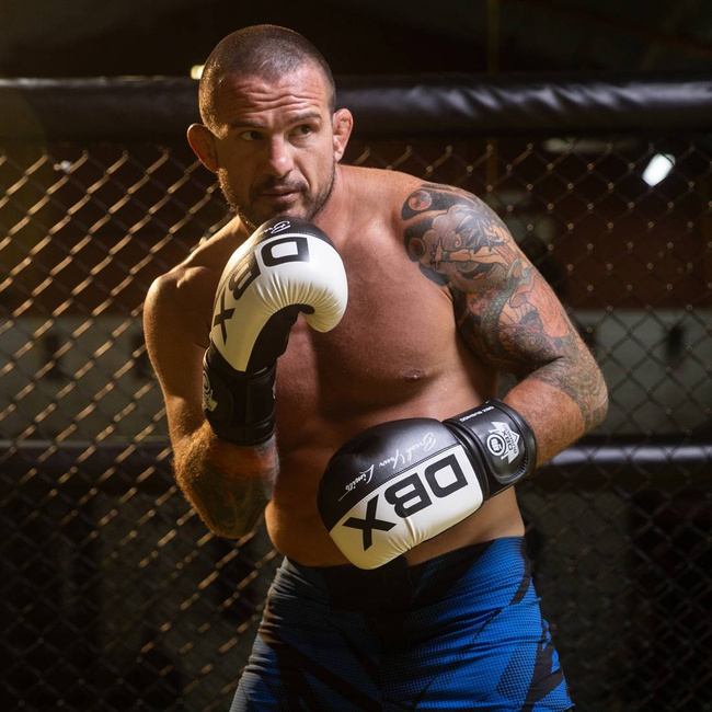 Boxing Gloves 10oz - Harmony - Valor Series