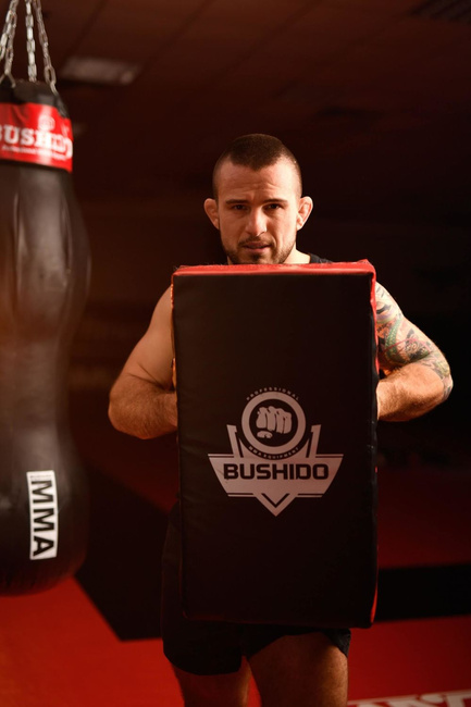 T75 | Tarcza treningowa XXL - Do kopnięć