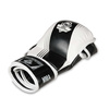 ARM-2011A MMA gloves DBX BUSHIDO L/XL