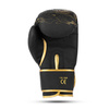 Boxing Gloves 10oz - Gold Dragon - Valor Series