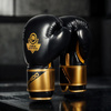 Boxing Gloves 12oz - Infinity - Origin Series