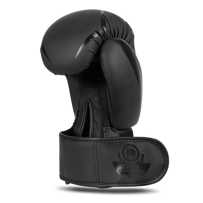 Boxing Gloves 10oz - Raptor - Origin Series