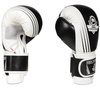 Boxing Gloves 12oz - Edge - Valor Series