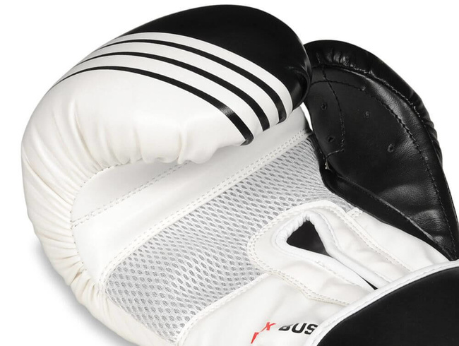 Boxing Gloves 12oz - Edge - Valor Series