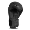 Boxing Gloves 10oz - Raptor - Origin Series