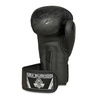 Boxing Gloves 10oz - Black Dragon - Valor Series