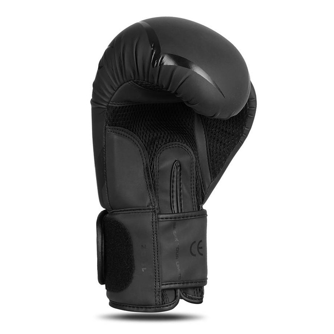 Boxing Gloves 10oz - Raptor - Origin Series