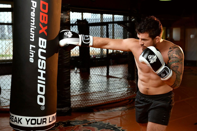 Boxing Gloves 12oz - Edge - Valor Series