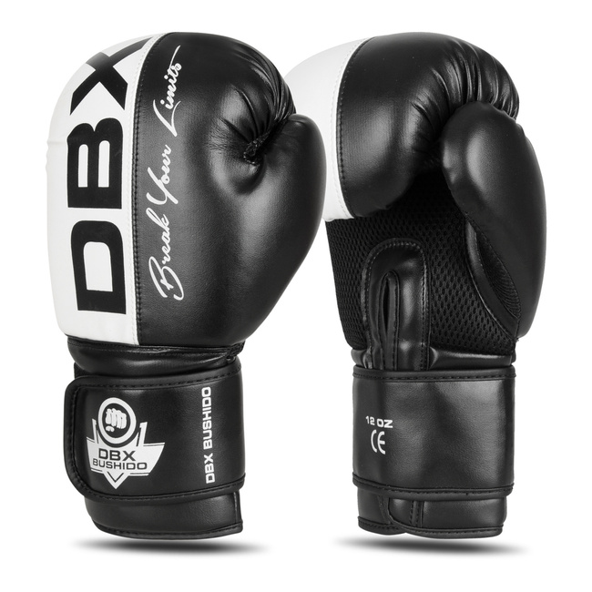 Boxing Gloves 10oz - Harmony - Valor Series