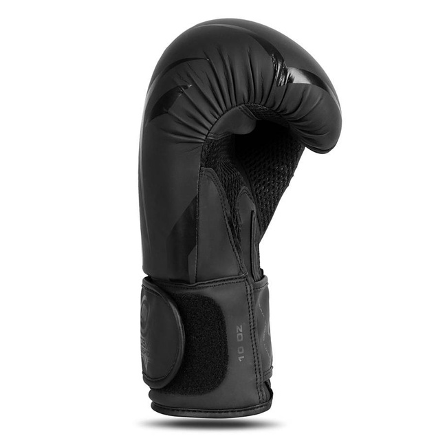 Boxing Gloves 10oz - Raptor - Origin Series