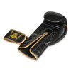 Boxing Gloves 12oz - Aureos - Valor Series