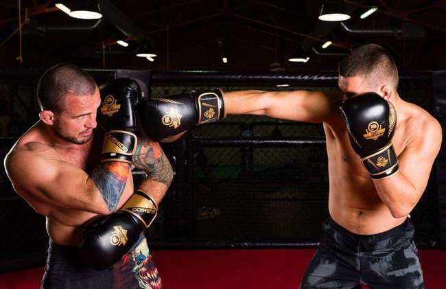 Boxing Gloves 12oz - Aureos - Valor Series