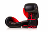 Boxing Gloves 12oz - Ninja - Legacy Series