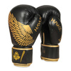 Boxing Gloves 10oz - Hawk - Origin Series