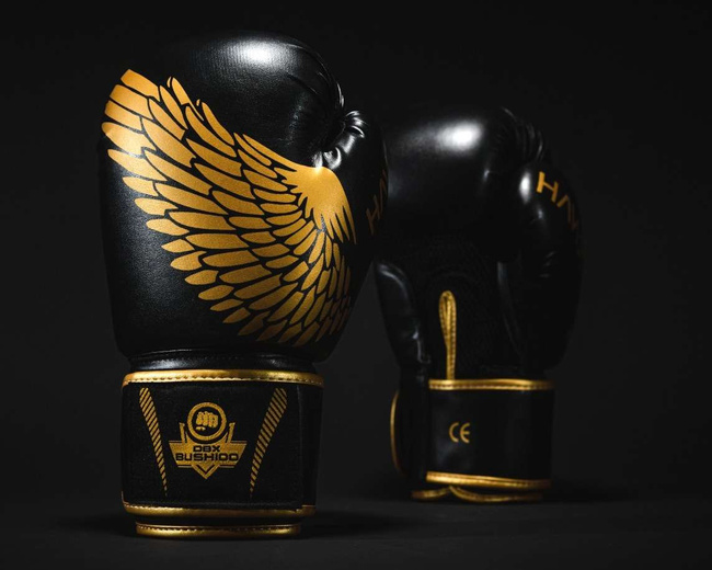 Rękawice bokserskie 10oz - Hawk - Origin Series | DBX Bushido
