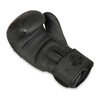 Boxing Gloves 10oz - Black Dragon - Valor Series