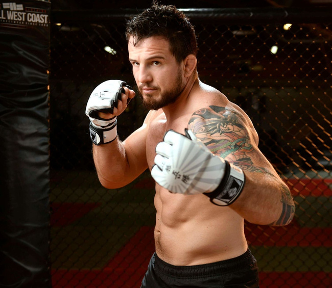 Rękawice MMA M Japan - Valor Series | DBX Bushido