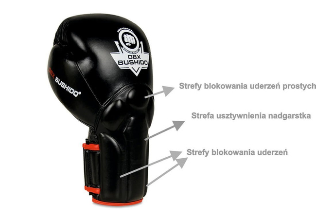 Boxing Gloves with Wrist Protect System BB2-10oz