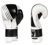 Boxing Gloves 12oz - Edge - Valor Series