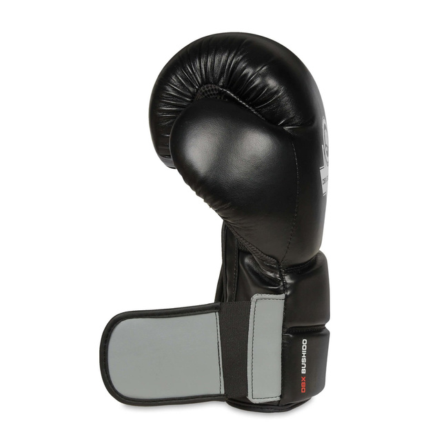 Boxing Set: B-2v9 10oz Gloves + Wraps + DBX DRYER Refresher