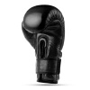 Warrior BLACK boxing gloves DBX BUSHIDO