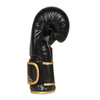 Boxing Gloves 10oz - Infinity - Origin Series