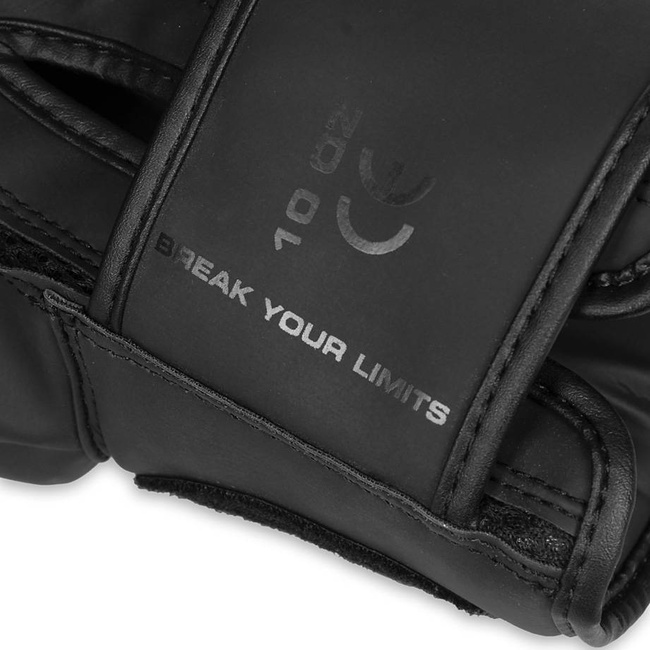 Boxing Gloves 10oz - Raptor - Origin Series