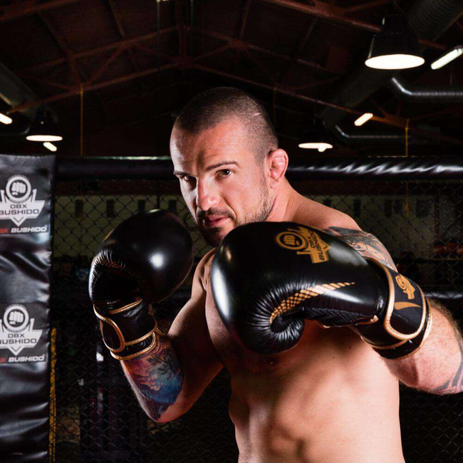 Boxing Gloves 12oz - Aureos - Valor Series