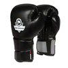 Boxing Set: B-2v9 10oz Gloves + Wraps + DBX DRYER Refresher