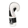 Boxing Gloves 12oz - Edge - Valor Series