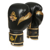 Boxing Gloves 12oz - Aureos - Valor Series