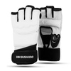 Teakwando gloves WTF - Kyokushin Karate - DBX-T-1 XL