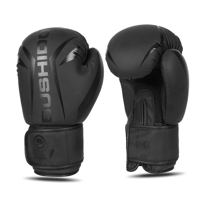 Boxing Gloves 10oz - Raptor - Origin Series