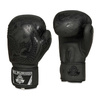 Boxing Gloves 10oz - Black Dragon - Valor Series